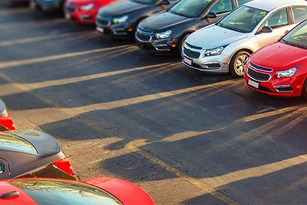 Local Dealerships